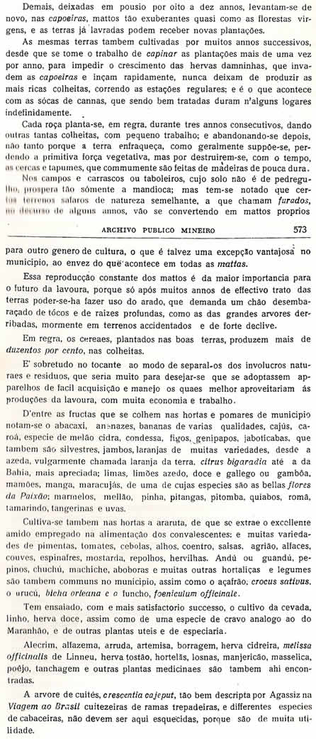 Chorografia Mineira - Dcima terceira parte